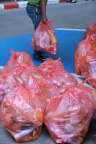IMG 7789