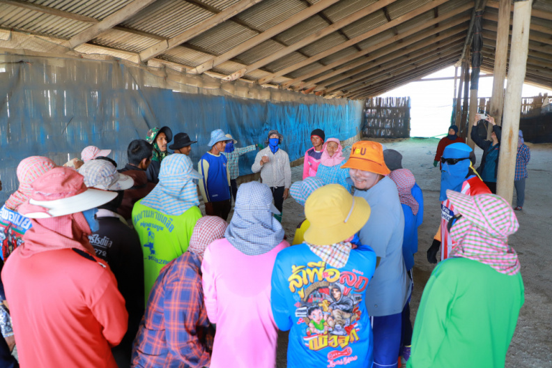 IMG 5593