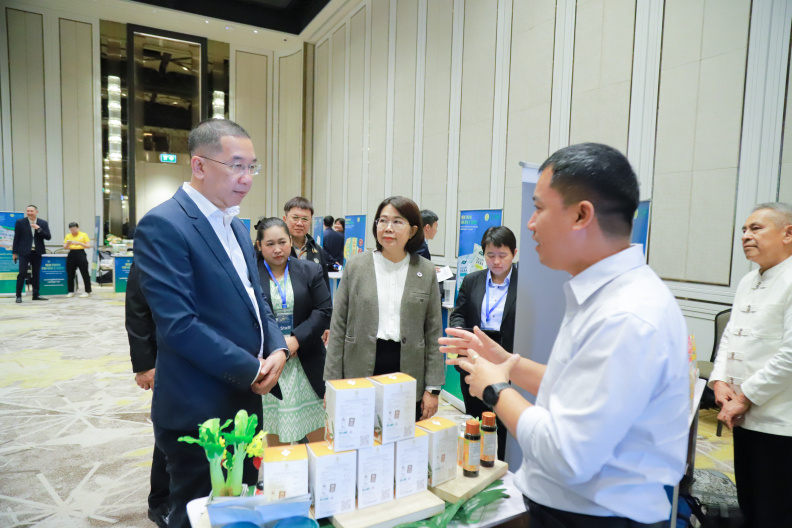 IMG 8100