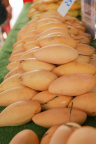 IMG 5906