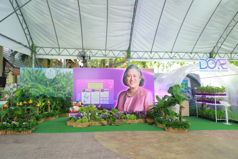 IMG 3919