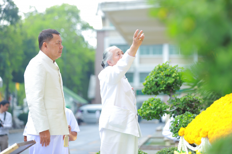 IMG 9278