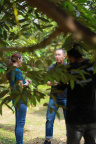 IMG 9808