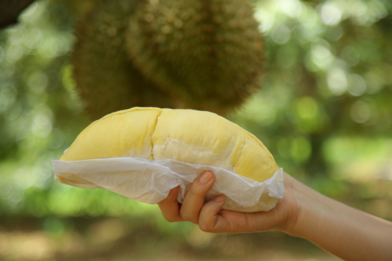 OHMC6909