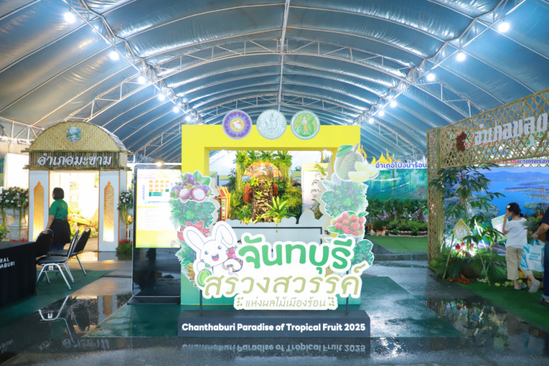 IMG 0502