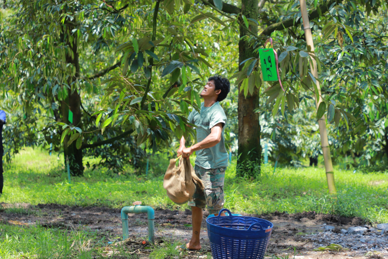 IMG 2975