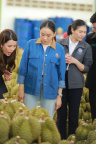 IMG 3317