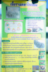 AIIR0138