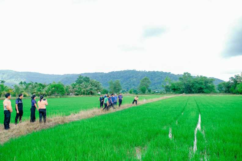AIIR0259