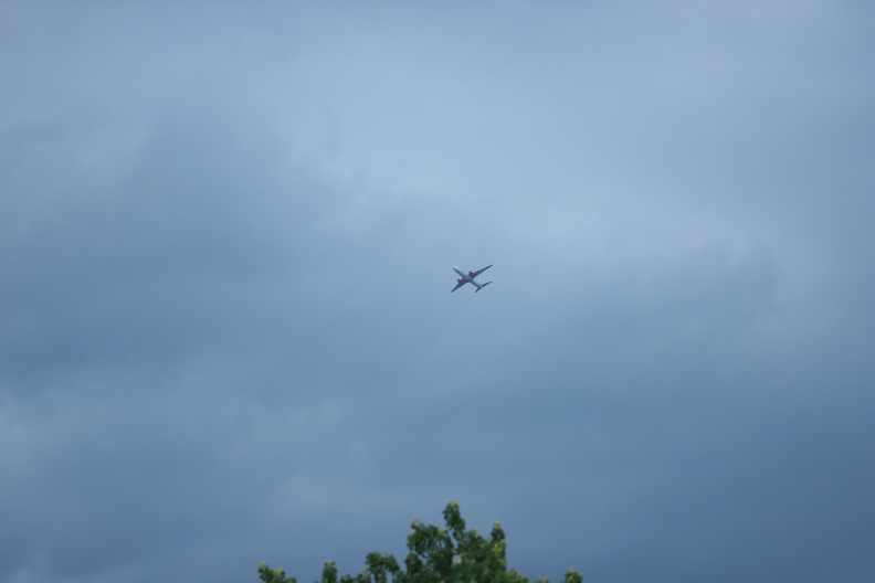 IMG 6522