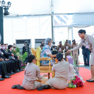 พระราชทาน เกียรติบัตร
