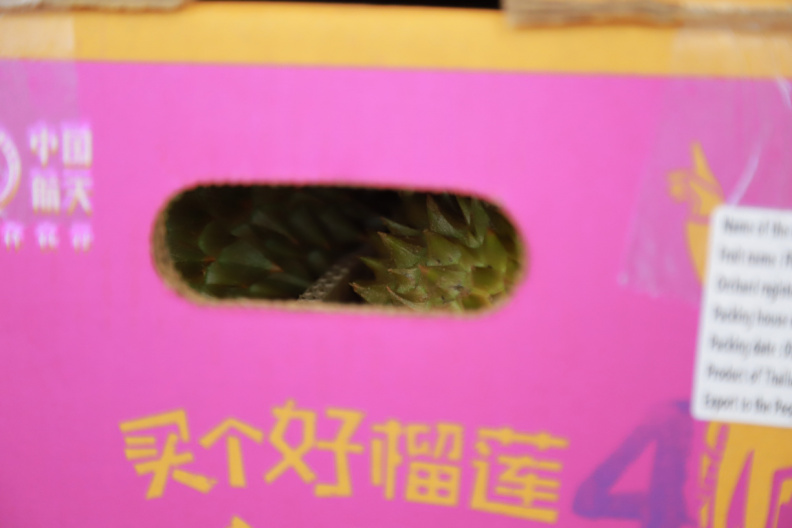 IMG 8363
