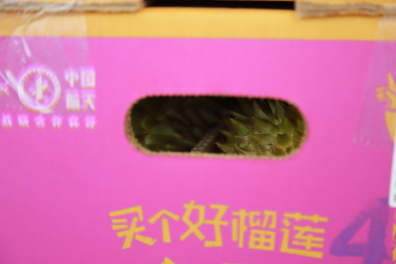 IMG 8364