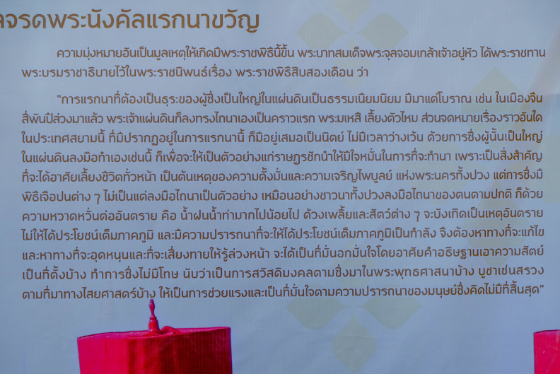 AIIR0981