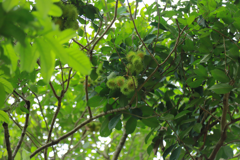 IMG 8562