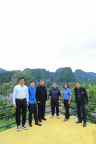 IMG 7961