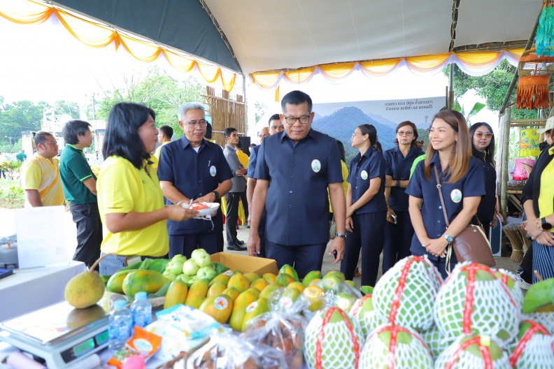 IMG 3882