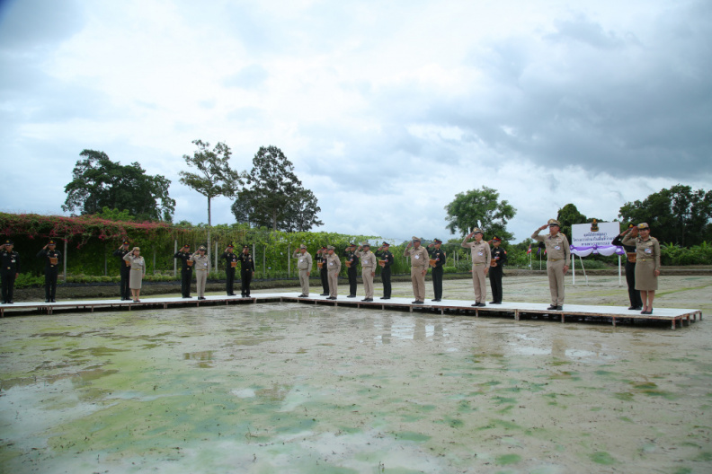 OHMC9711