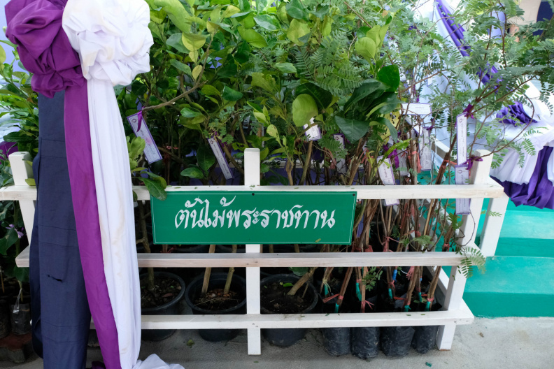 DSCF2318
