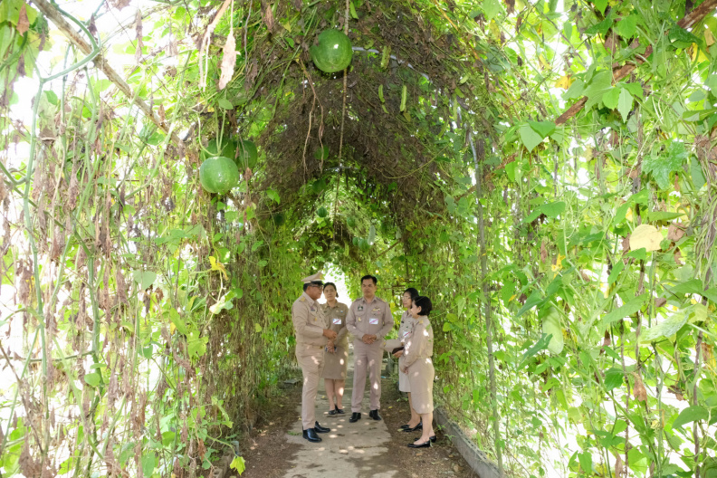 DSCF2214