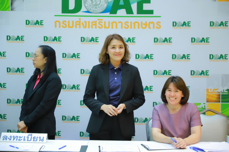 IMG 2652