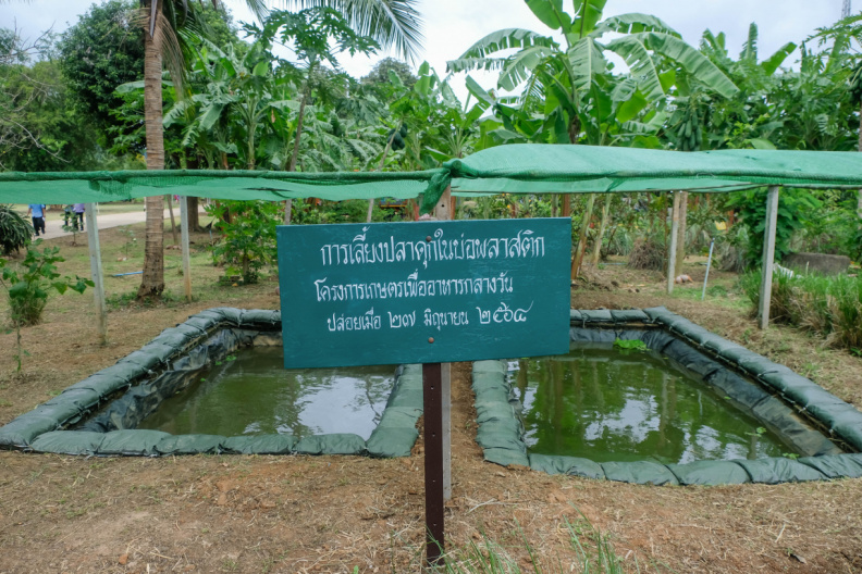 DSCF1985