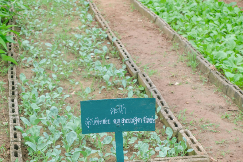 DSCF1957