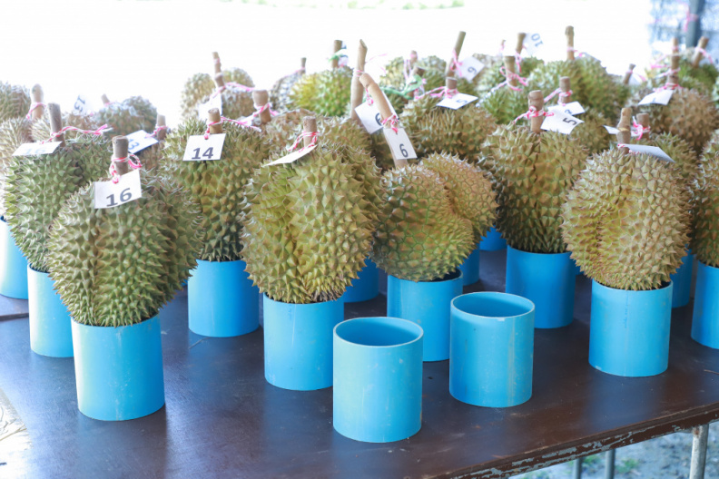 IMG 8383