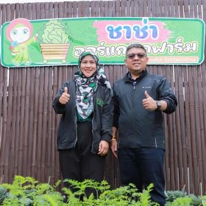 จุดที่ 3 ชาช่า ออร์แกนิกฟาร์ม