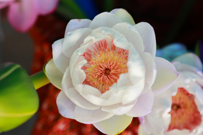 3D6021B1-632C-4ED2-AF42-A5847754C49F