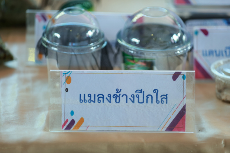 088FA704-72EF-451A-9C27-72A8BBFF5FA2