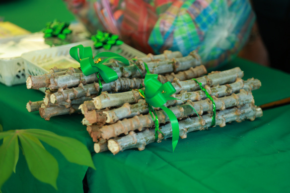 005D3EB5-6177-49AD-BF38-093B8E66DD2F