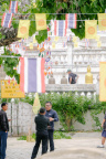 DSCF0704