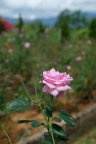 DSCF0796