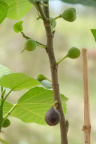 DSCF0839