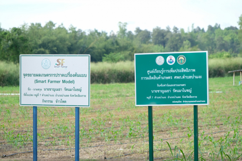 DSCF1948