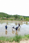 DSCF1619