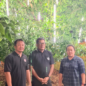 25681113 รองรพีทัศน์ ลงพื้นที่ติดตามสถานการณ์การออกดอกมะยงชิด นครนายก ปี 2569 ของสมาชิกแปลงใหญ่ตำบลดงละคร อำเภอเมืองนครนายก