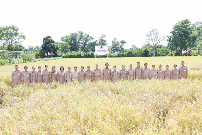 488A0231