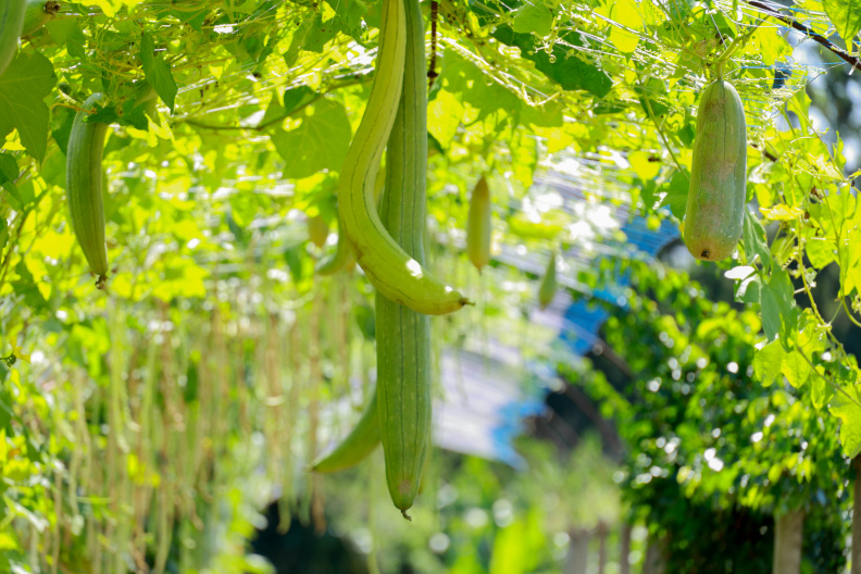 488A0276