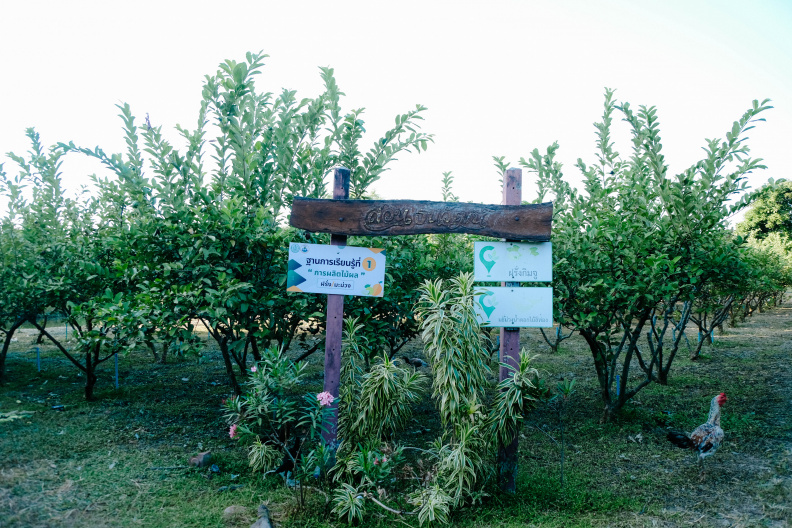 DSCF3872
