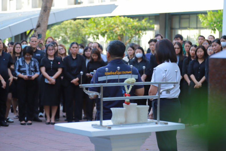 IMG 3259