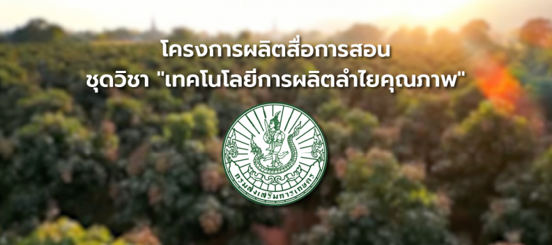 แบบทดสอบ web