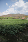 IMG 0915